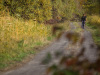 nordic-zwalka0014