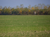 nordic-zwalka0039