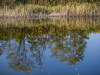 nordic-zwalka0043