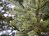 1050_img_9364