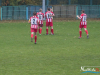 1619img_0410_10_24_2016