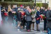 1131IMG_0354