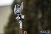 1148IMG_0505