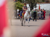 1136img_2384