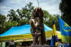 1456IMG_7130