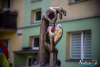1457IMG_7144