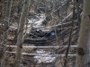 1525img_8076