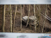 1527img_8094