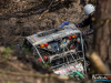 1532img_8126