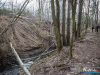 1541img_8154