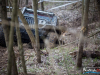 1546img_8160