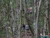 1255img_4258