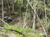 1301img_4266