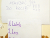 pieski0046