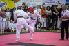 1151IMG_1175