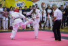 1151IMG_1177