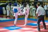 1155IMG_1212
