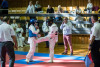 1155IMG_1213