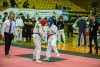 1201IMG_1237