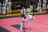 1205IMG_1254