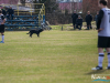 1435img_8618