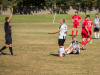 1431IMG_0925_wynik