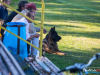 1629img_4113