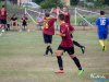 1831img_8496_06_26_2017