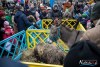 1205IMG_0379