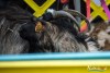 1208IMG_0411