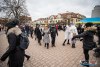 1241IMG_0633