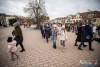 1241IMG_0638