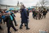 1243IMG_0695