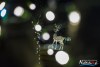 1623IMG_6151
