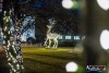 1624IMG_6156