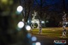 1624IMG_6165