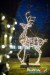 1625IMG_6176