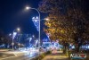 1642IMG_6209