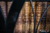 1102IMG_1140