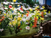 1401IMG_8494