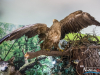 1401IMG_8500