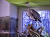 1402IMG_8502