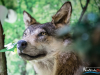 1402IMG_8504