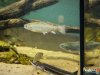 1524IMG_8660