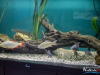 1525IMG_8663