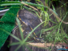 1526IMG_8671