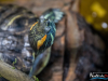 1526IMG_8672