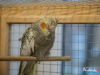 1528IMG_8678