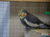 1528IMG_8679