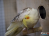 1528IMG_8680